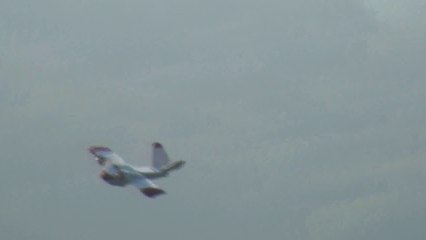 sagex plane RC WONDER