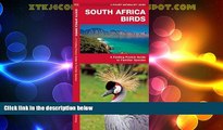 Big Deals  South Africa Birds (A Pocket Naturalist Guide)  Full Read Best Seller