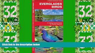 Big Deals  Everglades Birds: A Folding Pocket Guide to Familiar Species (Pocket Naturalist Guide