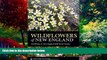 Books to Read  Wildflowers of New England: Timber Press Field Guide (A Timber Press Field Guide)