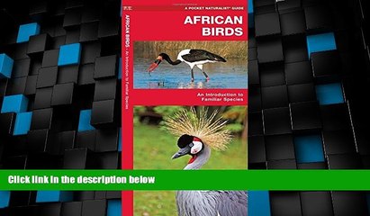 Big Deals  African Birds: A Folding Pocket Guide to Familiar Species (Pocket Naturalist Guide