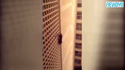 7 kat tırmandı, gören şaştı kaldı!