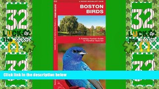 Big Deals  Boston Birds: A Folding Pocket Guide to Familiar Species (Pocket Naturalist Guide
