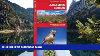 Deals in Books  Arizona Birds: A Folding Pocket Guide to Familiar Species (Pocket Naturalist Guide