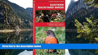 Deals in Books  Eastern Backyard Birds: A Folding Pocket Guide to Familiar Urban Species (Pocket