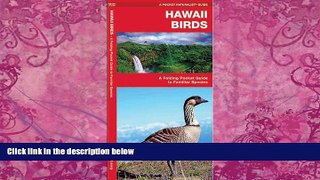 Books to Read  Hawaii Birds: A Folding Pocket Guide to Familiar Species (Pocket Naturalist Guide