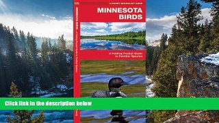 Deals in Books  Minnesota Birds: A Folding Pocket Guide to Familiar Species (Pocket Naturalist