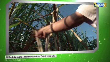 Déficit du sucre : addition salée au Brésil et en UE