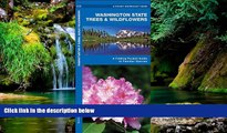 Must Have  Washington State Trees   Wildflowers: A Folding Pocket Guide to Familiar Species