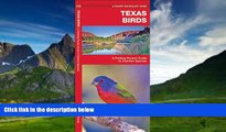 Big Deals  Texas Birds: A Folding Pocket Guide to Familiar Species (Pocket Naturalist Guide