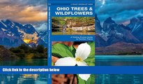 Big Deals  Ohio Trees   Wildflowers: A Folding Pocket Guide to Familiar Plants (Pocket Naturalist