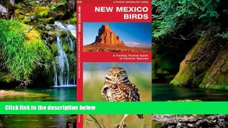 Must Have  New Mexico Birds: A Folding Pocket Guide to Familiar Species (Pocket Naturalist Guide