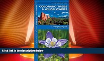 Big Deals  Colorado Trees   Wildflowers: A Folding Pocket Guide to Familiar Plants (Pocket