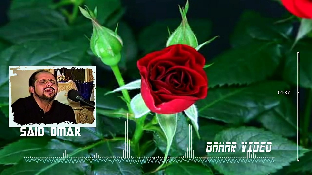Said Omar Live