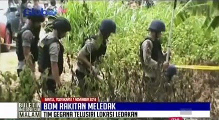Bom Rakitan Meledak dan Melukai Kerbau