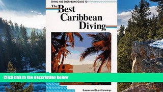 READ NOW  Diving and Snorkeling Guide to the Best Caribbean Diving (Lonely Planet Diving