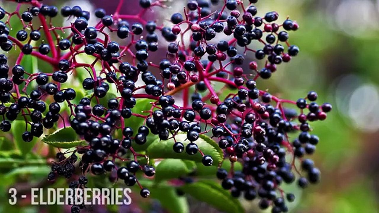 10_Everyday_Foods_That_Can_Kill_You[1]