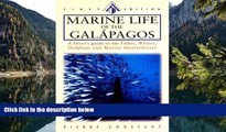 Deals in Books  Marine Life of the Galapagos: A Diver s Guide to the Fishes, Whales, Dolphins and