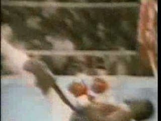 LE MEILLEUR DE MYKE TYSON