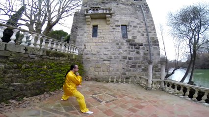 Frédéric Bernal Tai Chi mouvements