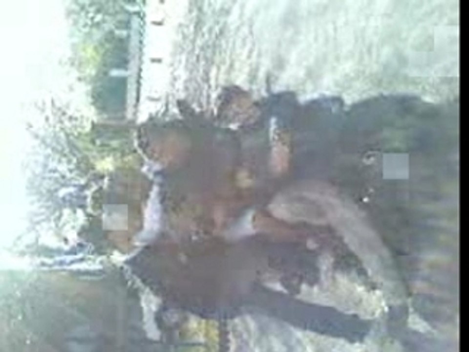 a 8 sur typhoon DEKA.... CRP