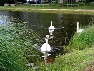 test pour Zombies de France