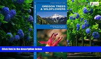 Books to Read  Oregon Trees   Wildflowers: A Folding Pocket Guide to Familiar Species (Pocket