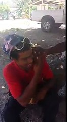 Loco Hablando Por Celular