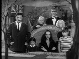 Addams Family 226 Cat Addams (03-11-66)