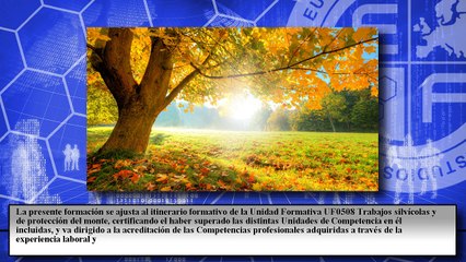 Trabajos Silvícolas y de Protección del Monte (Online)