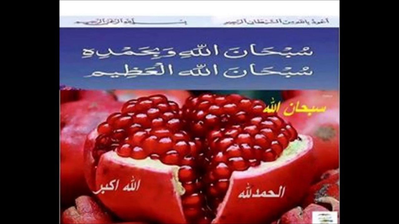 اللہ کی قدرت دیکھوں سبحان اللہ الحمدللہ اللہ اکبر Dua