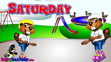 Kids 1 Hour TV Show | Busy Beavers BBTV S1 E3 & E4 | Teach Kindergarten Learning Video