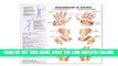 [FREE] EBOOK Understanding Arthritis Spanish: Entendiendo la artritis BEST COLLECTION