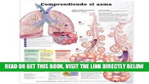 [FREE] EBOOK Understanding Asthma Anatomical Chart in Spanish (Entendiendo El Asma) ONLINE