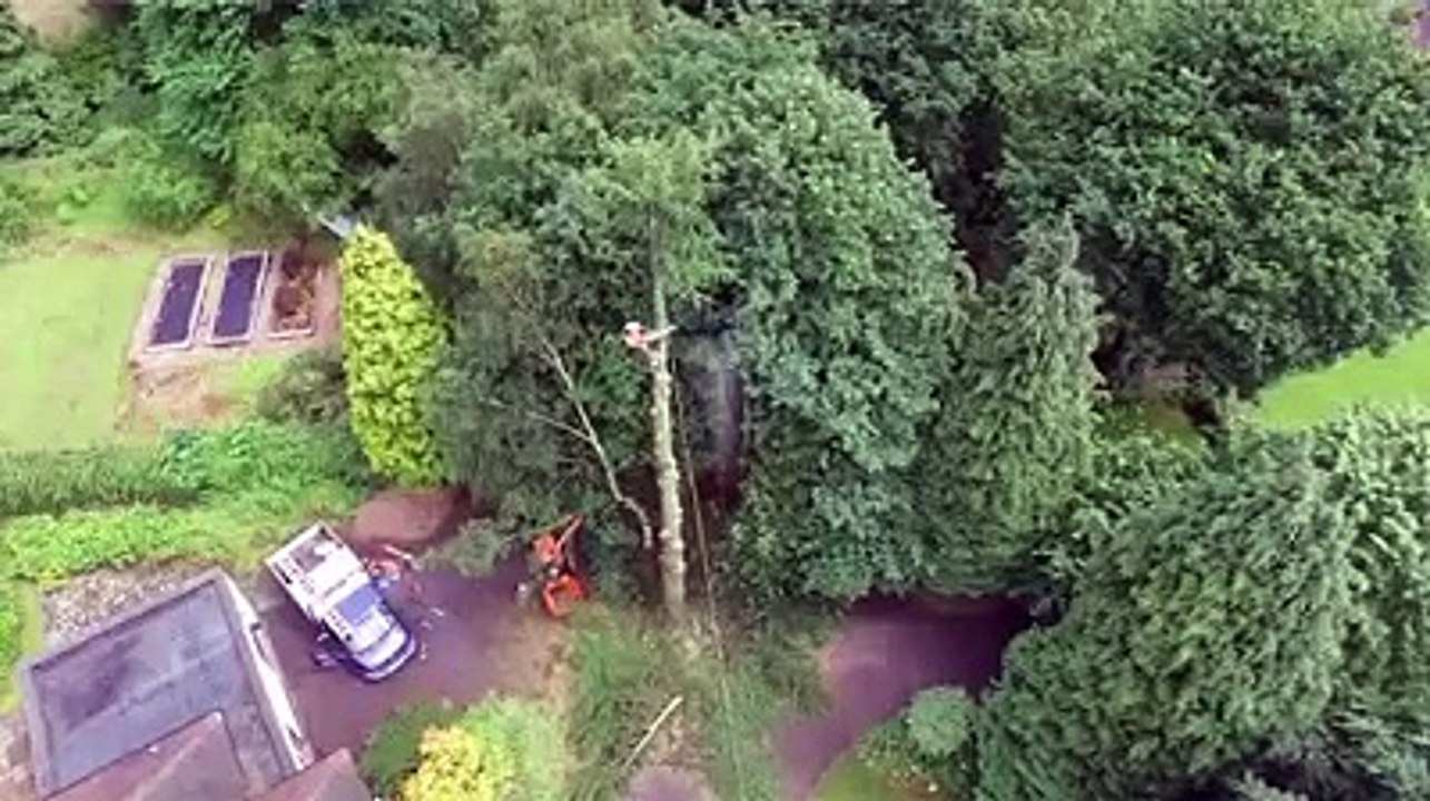 Local Tree Surgeon Nottingham