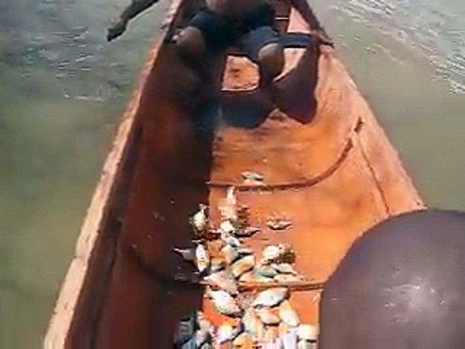 Piranha avı inanılmaz!