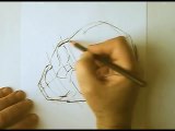 Self-Learning | Head proportions ; Drawing Skulls | Academic Drawing