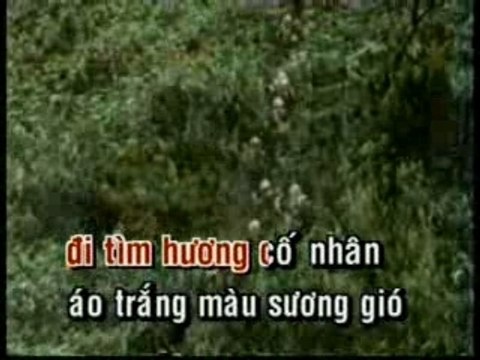 Quan nua khuya - Phi nhung