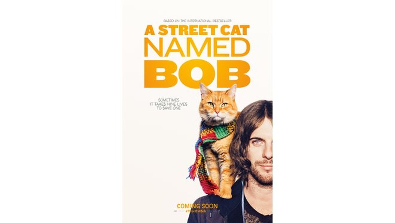 A Street Cat Named Bob (2016)