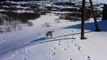 Un chien glisse sur la neige