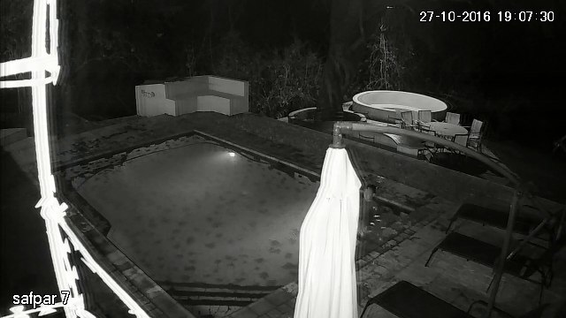 Un crocodile attaque des touristes dans une piscine