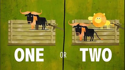 Can you solve the river crossing riddle  - Lisa Winer(360p)