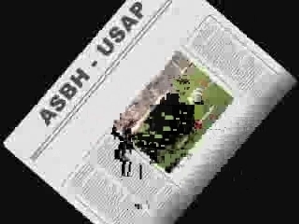 Bagarre Rugby Usap (Perpignan) - Asbh (Béziers)