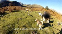 Rando chiens de traîneaux,Payolle 2016