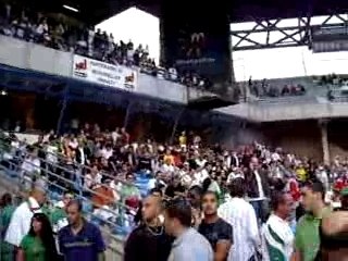 bresil vs algerie video6