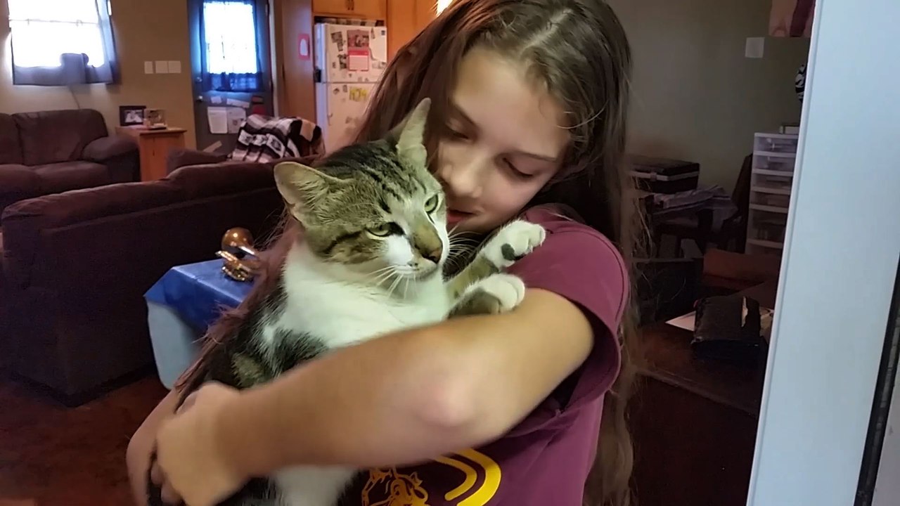 Lazy Cat Hates Going Outside