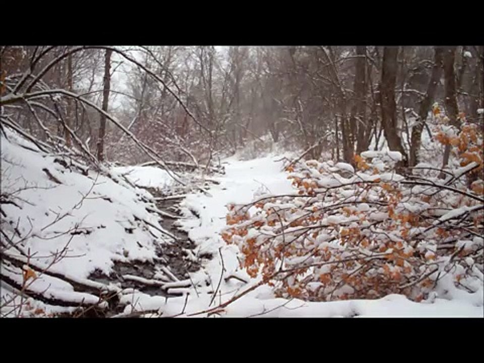Bob Dylan  - Shelter from the Storm. November 4, 2005 Bob Dylan   Amneville, France Metz