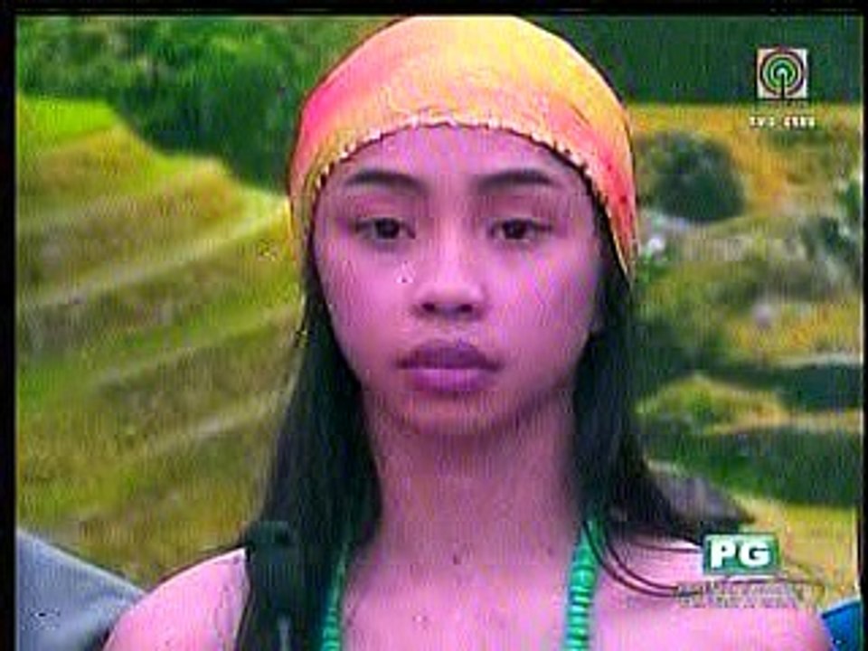 pbb3
