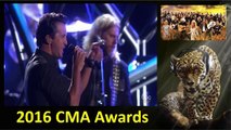 Luke Bryan - Move (CMA 50th Awards)