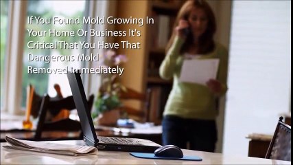 Mold Remediation Pros mp4